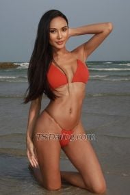 babybee Bangkok Transex I am Ts Thailand Perfect body & Smooth tan skin with nice
toolI am a professional model in Thailand Please
check out all my photos. 100% Real person are look like
pictures 👉🏼My contact details are
below👇🏼Instagram :  Babybaipai Line ID : 
Baby-baipaiWechat ID :  BB-fully💸💵
Transfer wise , Alipay or Crypto 💴💸👧🏽
my name is B beeI’m from  Thailand but if you
would like to share a happy time with me with a webcam show
we can make it happen, together 😉💋 I have many
different, sexy outfits & choices for you and you will love
it!! 😊 I can be a strong top and use you until your
soul is mine or a sweet, lovely bottom and look after you.
You will have an amazing encounter and we will have a
fantastic, once in a life-time experience together.  Please
contact me if you are interested in meeting up and let me
know what type of experience you would like to share
together. X