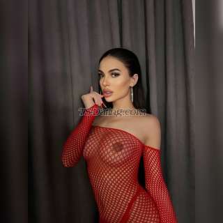acompanhante travesti / babycharlotte / Bélgica