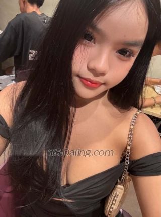Shemale-babygirl0219-1512605 