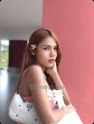 trans girl bambam26 0760847 trans girl bambam26 0760847