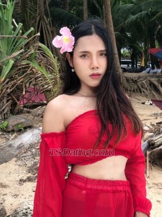 trans girl bambam26 0760880 trans girl bambam26 0760880