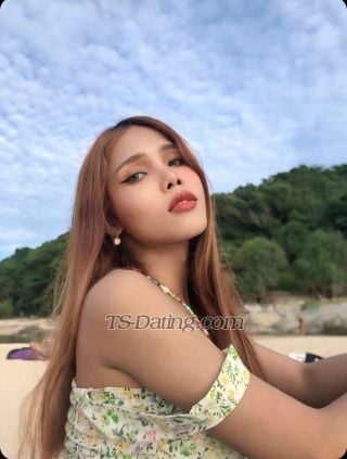 trans girl bambam26 0761537 trans girl bambam26 0761537