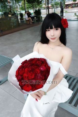 trans girl baohann2108 7009793 trans girl baohann2108 7009793