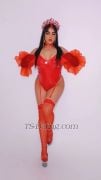 bombaCat Agadir Transex  Courbes irrésistibles qui éveillent ton désir
| Puissance qui comble toutes tes envies | Plaisir pur et
sans limites Espace privé et chic, discret et
luxueux Mes services Plaisir intense &
libération totale Jeux coquins et moments
audacieux Poppers pour intensifier les
sensations Jeux de rôle & fantasmes
brûlants BDSM pour les amateurs de
domination Séances de féminisation
sensuelles DisponibilitéJe viens à toi
ou tu viens à ✅ Uniquement pour
clients sérieux Laisse-moi devenir ton
fantasme… et bien plus encore
