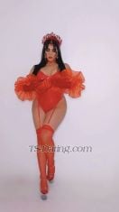 bombaCat Agadir Transex Www.fansly.com / bombacat 
 Courbes irrésistibles qui éveillent ton désir | Puissance qui comble toutes tes envies | Plaisir pur et sans limites

 Espace privé et chic, discret et luxueux

 Mes services

 Plaisir intense & libération totale

 Jeux coquins et moments audacieux

 Poppers pour intensifier les sensations

 Jeux de rôle & fantasmes brûlants

 BDSM pour les amateurs de domination

 Séances de féminisation sensuelles

 Disponibilité

Je viens à toi ou tu viens à 



✅ Uniquement pour clients sérieux


 Laisse-moi devenir ton fantasme… et bien plus encore