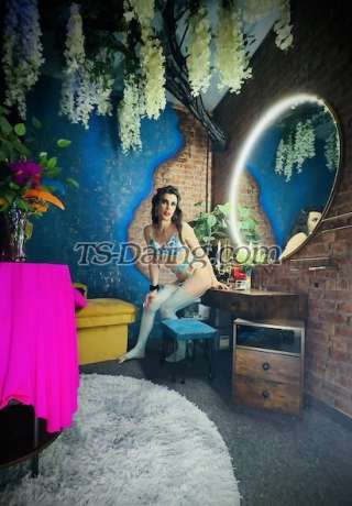 trans girl CAMPboy 2898321 trans girl CAMPboy 2898321