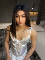 CD Cybele Seoul Transex Telegram: @Alectrona111Wechat: alectrona111Line:
cybellecdI'm Alectrona pre op 27 years old from
Philippines. Independent Shemale Cross dresser Escort
Companion standing at 165cm height and 50kg weight. Well
educated and I speak fluent English. I'm very discreet and
hygienic.❌No Bareback No Drugs ❌No BDSM, No
Kinky, No Dirty Sex Asking for Nudes, Dick photos
automatically Blocked✅Safe Sex
only ✅Good Hygiene is a Must ✅ 1 hour
notice required  ✅ Accept Cash, Bank Transfer,
Paypal ✅ 100% real same personServices offered
 ☑️Girlfriend Experience ( GFE
) ☑️French Kissing ☑️Blowjob/ Oral/
Deepthroat ☑️Licking & Rimming ( Receive
) ☑️Passionate Sex ☑️WebCam Show (
Video Call )Statistics:  💕Age:
27 💕Height: 165cm ( 5’5 ) 💕Weight:
50kg ( 110 lbs ) 💕Nationality: Half
korean 💕Body : Slim Petite  💕Penis: 5
inch Cut, Circumsized 💕Gender: Crossdresser