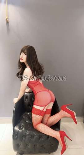 trans girl CDnameANGEL 3114146 trans girl CDnameANGEL 3114146