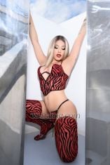 C E L I N E Athens Transex