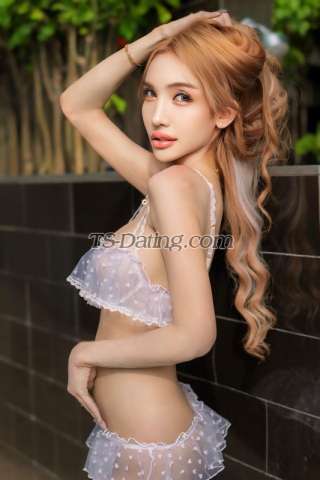 trans girl Calisa888 0080952 trans girl Calisa888 0080952