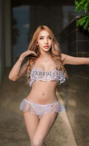 trans girl Calisa888 0331838 trans girl Calisa888 0331838