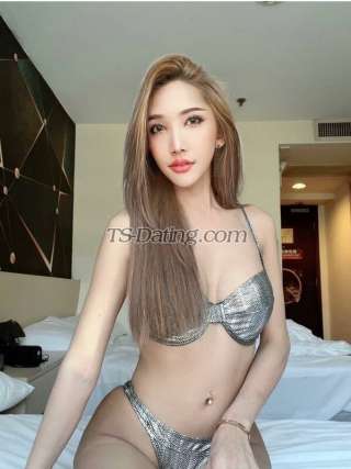 trans girl Calisa888 2461474 trans girl Calisa888 2461474