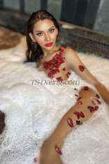 Camillayummy Bangkok Transex Gentlemen your dreams girl here , I’m here for a private, limited engagement.
❤️‍🔥CLASSY MODEL HERE AVAILABLE ❤️‍🔥
⭐️✨I am available for an exclusive arrangement at this time. Kindly message me to proceed, and we can schedule a short video call in advance for mutual verification prior to meeting. I look forward to hearing from you. ⭐️✨
My name is Camilla. I’m a model  I’m mixed haft Thai haft British , If you're looking for an unforgettable encounter with a stunning, super sexy I am a sweet Bottom and mostly I can be your hard rock cock Top , sweetheart looking good girl ! As a passionate and caring girl, you'll be delighted by my sensual aura and affinity for intimate pleasures. 
I'm super hot ... with big boobs and nice tits sexy cures with sexy ass and Fresh young lady look same as picture 100% 
I am available for Spending time with You will be an unforgettable experience, one that u would want that !! Can ask more pic of me!!! 🍆🍆🍆💦💦💦
📍line ID : fairycamil 📍
📍WhatsApp : +66813252456📍
📍telegram : @ohmmy11📍
📍WeChat : Ohmmy-66 📍 
