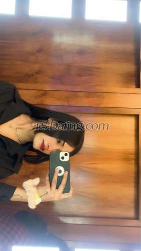 trans girl Carla009 9350871 trans girl Carla009 9350871