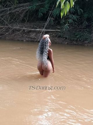 trans girl Carlotavenez 7126028