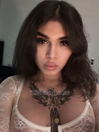 transsexual escort / Carolina Xl / Denmark