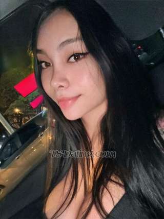 Catalina Doll Shemale Escort - Cali Colombia - TS-DATING.COM @ ts-dating.com