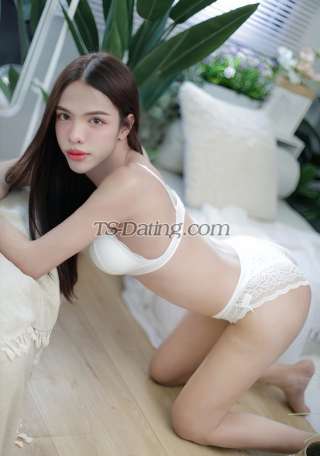 trans girl Chanuntida 8141380 trans girl Chanuntida 8141380