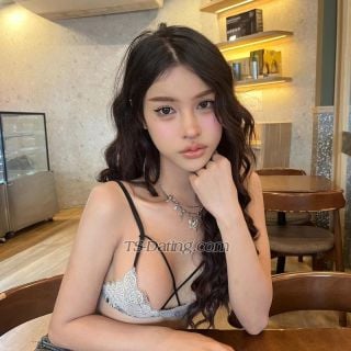 trans girl Chatikabella 5101420 trans girl Chatikabella 5101420