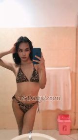 Chery Sweet Bali Transex Hello, my dear!I'm Cheryl, a young, sexy, and
attractive ladyboy.I will provide 100% professional
service and bring you to the peak of pleasure!You
have to try my services, and I guarantee the results.
Whether you're with friends or looking for extra fun, I can
make your vacation even more enjoyable, from party services
to threesomes and everything in between. You will be 1000%
satisfied.So don't waste your time.My prices are
commensurate with the experience and what you will get from
me.Your happiness, comfort, and satisfaction are my top
priorities 🫶🏻💋