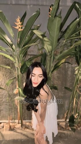 trans girl Chieralee 3611557 trans girl Chieralee 3611557