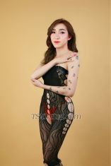 Christine69q Kuala Lumpur Transex It’s me Christine mayor from Philippines but I’m mixed
vietnamese. Yes i’m a ladyboy with a big cock i can
fulfill your fantasy in bed. Are you willing to play with me
and have a fantastic experience with my lady cock that you
can suck all you want or I can drill your hole till the
sheets turn red. So what you waiting for you can message me
on my WhatsApp or telegram so we can have a deal 😉 add me
on tg: +639489514769