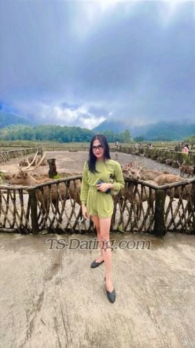 trans girl Ciciamoy 4144373