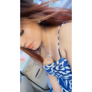 trans girl Cindrella13 1579098 trans girl Cindrella13 1579098