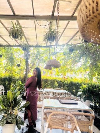 trans girl Cindrella13 5165989 trans girl Cindrella13 5165989