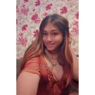 trans girl Cindrella13 6531138