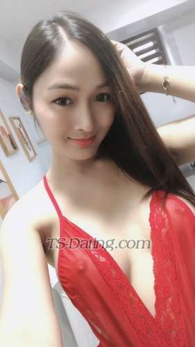 trans girl Cindy2534 2409319 trans girl Cindy2534 2409319