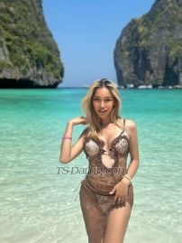 Cindy2544 Phuket Transex Meet up and cam show

Let’s meet if you are in Phuket now  
Don’t waste your time if you are not in Phuket right now thanks 🙏

✅WhatsApp :  +66839916009
✅Line _Cindysohot
