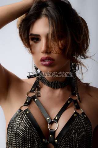 trans girl Claricelima 1681541 trans girl Claricelima 1681541