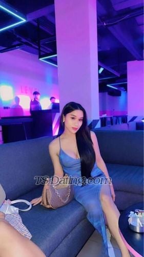 trans girl Clarista 8146147 trans girl Clarista 8146147