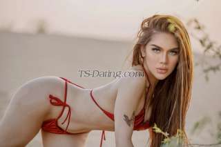 trans girl Classyluna 6043666 trans girl Classyluna 6043666