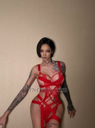 trans girl Comemane0nas 7708115 trans girl Comemane0nas 7708115