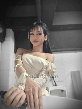 trans girl Contactbella 9003389 trans girl Contactbella 9003389