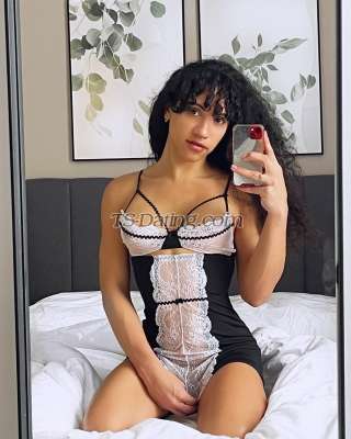 trans girl CubanaVip24 3831308 trans girl CubanaVip24 3831308