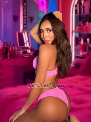 trans girl callherleila 2331994 trans girl callherleila 2331994