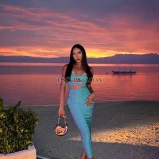 trans girl callherleila 7986523 trans girl callherleila 7986523