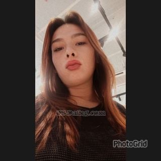 transsexual escort / cassidy23 / Sweden