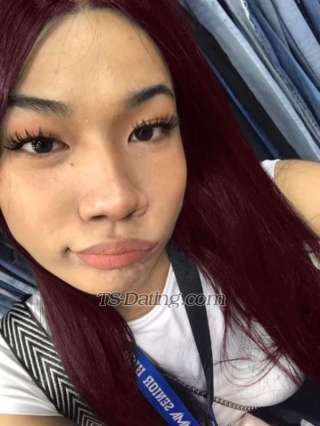 trans girl catthanyabbc 2047198 trans girl catthanyabbc 2047198