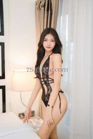 cindystorm Bangkok Transex Please read before contacting me
I’m cindy storm
You’re going to have an exciting, thrilling, and
passionate time with me
- I’m very kind and good take
care i want to give good experiences for you 🩵
-
i’m look like real girl if you want girlfriend experience
it’s me
- i can hard and cum for you let’s play
together 
- i have soft boobs and very natural if you
like natural it’s me
- good girl available for you
waiting to have good time with you 


(Please to
make appointment with me in 
advance 2 hours before
meet)
WhatsApp +66 658238340
Telegram:
@cindywong8
Wechat:  cindystormm
Line: 
baimon_rtd43
( https://line.me/ti/p/JYDJuzck2a )