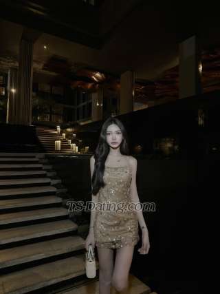 escort dello shemale / cindystorm / Thailandia