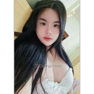 trans girl Dadarinrada04 9889325 trans girl Dadarinrada04 9889325
