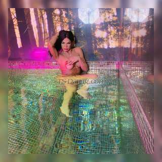 trans girl DafynneSilva 3570324 trans girl DafynneSilva 3570324