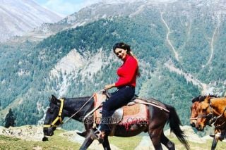 trans girl Daisy69 7973237 trans girl Daisy69 7973237