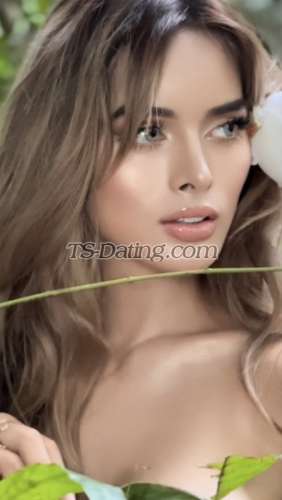 trans girl Daisyrie 6643437