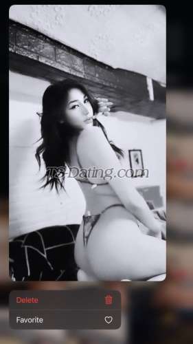 trans girl Dana09 3086080