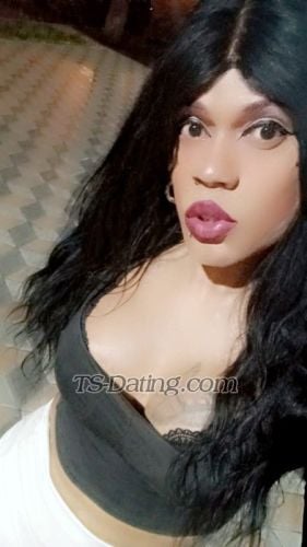 trans girl Danielatrans 8274668 trans girl Danielatrans 8274668